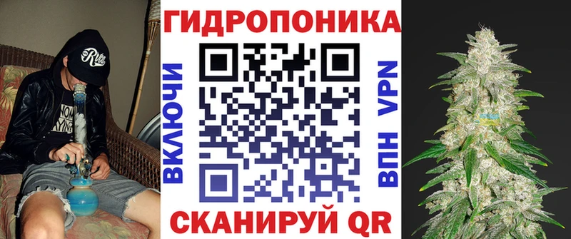 darknet как зайти Старый Оскол Каннабис Amnesia